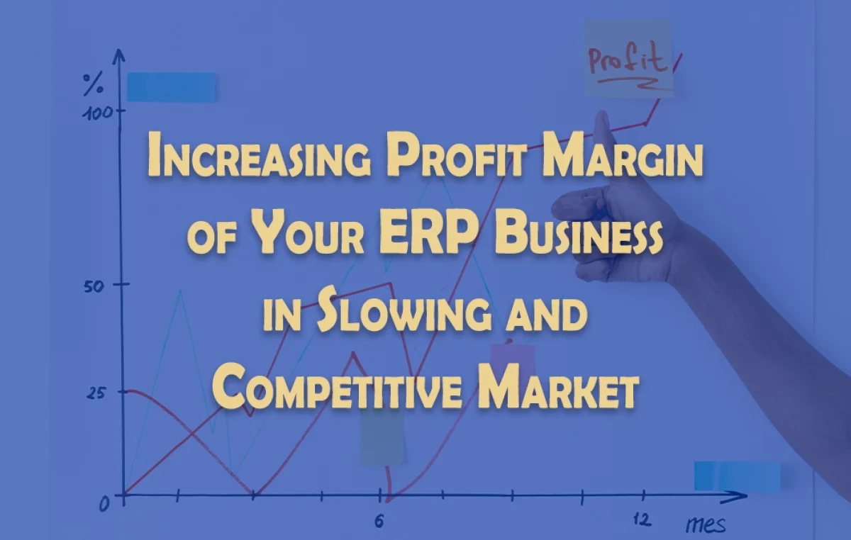 Increasing Profit Margins of your ERP Business