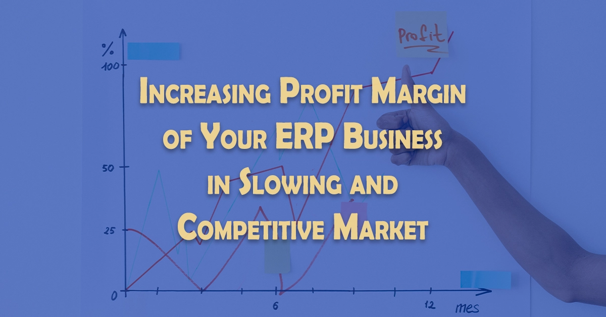 Increasing profit margins of your erp business