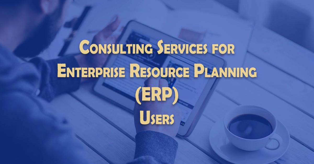 Consulting and Training Services for ERP Users and Companies