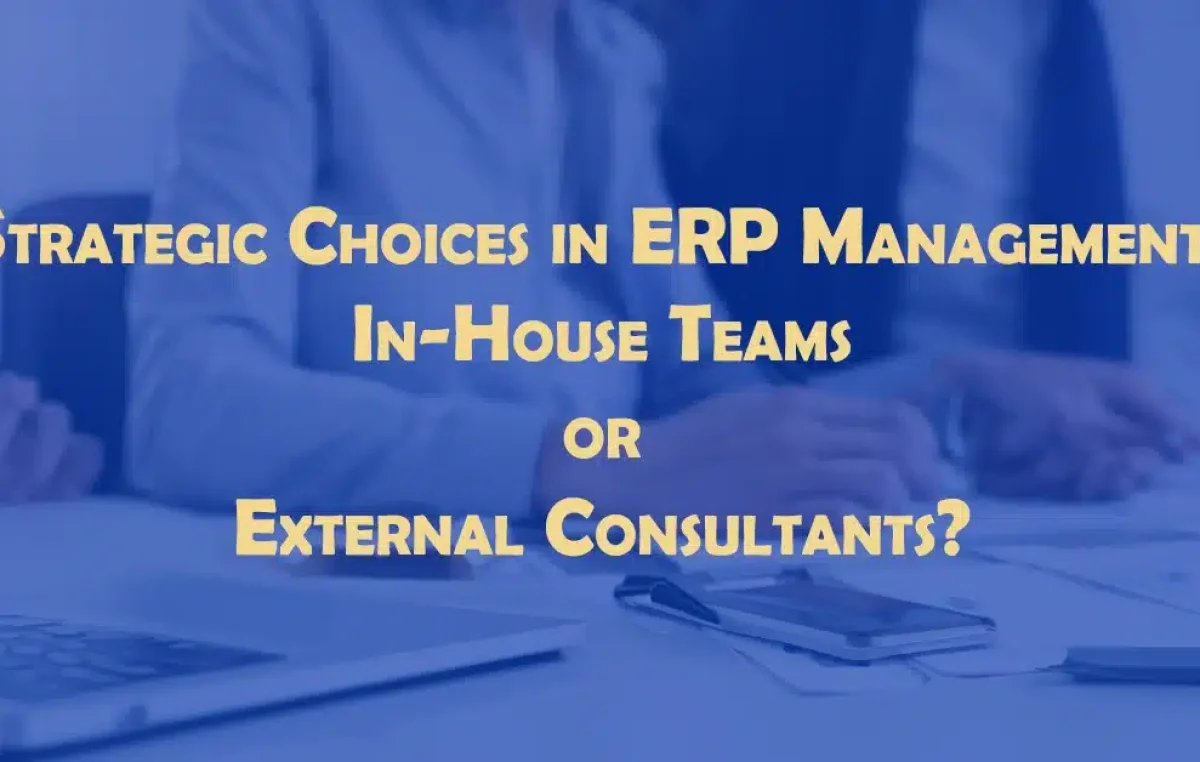 Strategic Choices in ERP Management: In-House Teams or External Consultants?