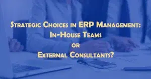 ERP in-house vs outsource resources